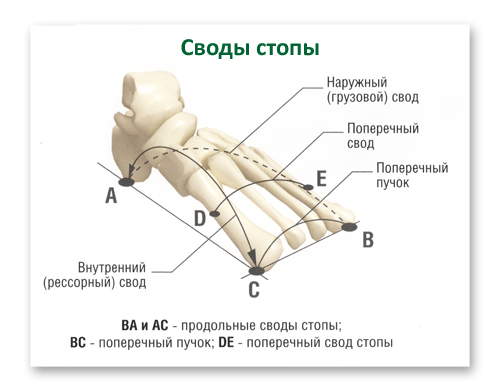 Блог им. MikhailKovnatski: Эврика!