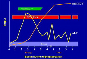 диетолог эндокринолог санкт петербург