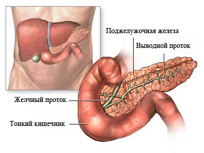 Таблетки для похудения слим дуо энд шейп