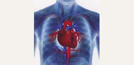 Диета (стол) номер 10