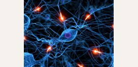 Диета (стол) номер 12