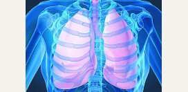 Диета (стол) номер 11