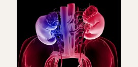 Диета (стол) номер 14