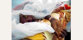 Желтая лихорадка. Симптомы, диагностика, анализы и прививка от болезни