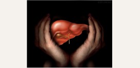 Гепатит А. Причины, симптомы, признаки, диагностика и лечение патологии