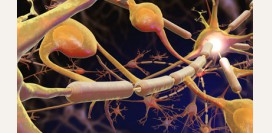 Невропатия. Причины, симптомы, признаки, диагностика и лечение патологии