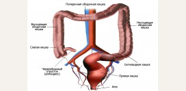 Ирригоскопия. Что такое ирригоскопия, показания, какие болезни выявляет