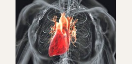 Миокардиодистрофия. Причины, симптомы, признаки, диагностика и лечение патологии