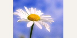 Туберкулез у детей. Причины, симптомы, признаки, диагностика и лечение патологии