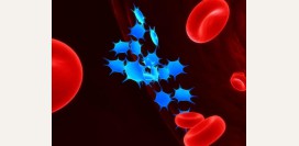 Тромбоцитопения. Причины, симптомы, признаки, диагностика и лечение патологии