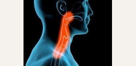 Фарингит. Причины, симптомы, признаки, диагностика и лечение патологии 