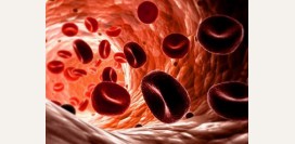 B12 дефицитная анемия. Причины, симптомы, диагностика и лечение патологии