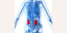 Почечная недостаточность. Причины, симптомы, признаки, диагностика и лечение патологии.