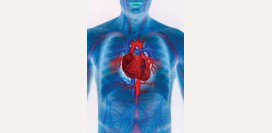 Сердечная недостаточность - причины, симптомы, признаки, диагностика и лечение