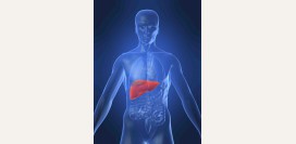 Печеночная недостаточность. Причины, симптомы, признаки, диагностика и лечение патологии.