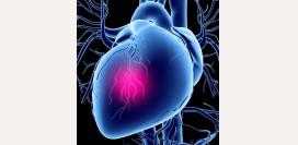 Стенокардия напряжения. Причины, симптомы, признаки, диагностика и лечение патологии