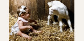 Листериоз. Причины, симптомы, диагностика и лечение патологии. 