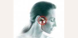 Болит височно-нижнечелюстной сустав. Причины воспаления челюстного сустава, диагностика причин и лечение, профилактика