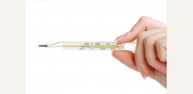 Ректальная температура при овуляции. Исследование менструального цикла, температурная кривая