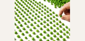 Невроз навязчивых состояний. Навязчивые состояния: движений, мыслей, страхов, воспоминаний, идей