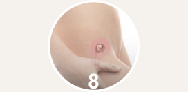 8 неделя беременности