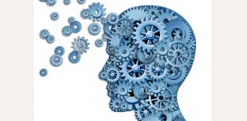 Мании. Мания преследования, мания величия, ипохондрия. Причины, симптомы, диагностика расстройства психики и лечение. 