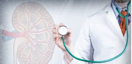 Нефролог. Чем занимается данный специалист, какие исследования проводит, какие патологии лечит?