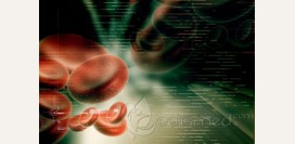 Гемофилия - причины, симптомы, диагностика и лечение заболевания