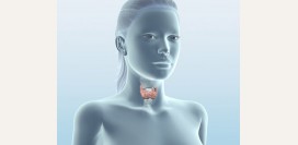 Диффузный токсический зоб (ДТЗ), гипертиреоз - симптомы, диагностика, лечение и профилактика патологии