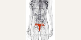 Дисплазия шейки матки - степень дисплазии, диагностика (кольпоскопия, выскабливание, биопсия  шейки матки), причины, эффективное лечение