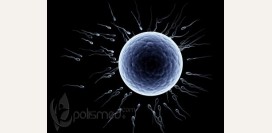 Мужское бесплодие - современная диагностика и способы лечения. Антиспермалльные антитела у мужчин и женщин - причины и анализы