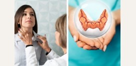 Эндокринолог. Чем занимается данный специалист, какие исследования производит, какие патологии лечит?