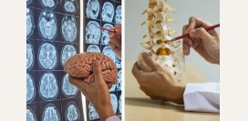 Нейрохирург. Чем занимается данный специалист, какие исследования проводит, какие патологии лечит?