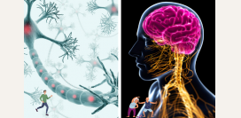 Дисфункция вегетативной нервной системы