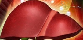 Гепатомегалия. Причины, симптомы, диагностика и лечение патологии