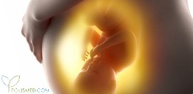 Предлежание плода. Классификация, причины, диагностика и осложнения