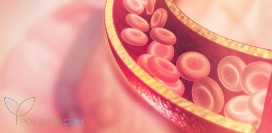 Тромбофилия. Причины, симптомы, диагностика и лечение патологии, генетические заболевания, приводящие к тромбофилии