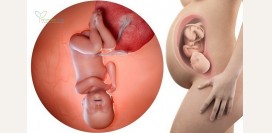 42 неделя беременности