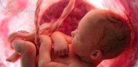 Задержка развития плода. Причины, симптомы, диагностика, профилактика и лечение патологии