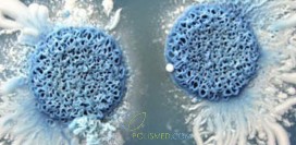 Молочница при беременности - кандидоз. Какие опасности представляет эта патология?