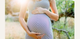 Второй триместр беременности