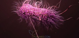 Почему антибиотики не помогают? Супербактерии несут новую опасность