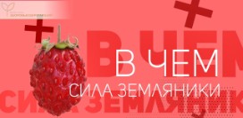 Земляника: что лучше – заморозить, сделать варенье или объесться в сезон