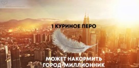 Куриное мясо из пробирки – пищевая революция по-сингапурски