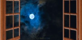 Не спится в полнолуние? - Вот почему