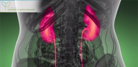 Боль в почках. Как найти причину по косвенным признакам?