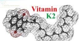 Витамин К2, усвоение кальция и витамина Д – как это работает