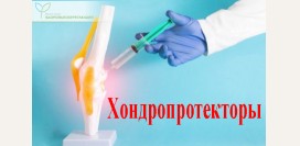 Глюкозамин, хондроитин и другие хондропротекторы. В каких продуктах они содержатся?