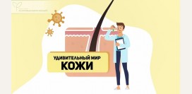 Кожа: удивительный самый большой орган в теле человека