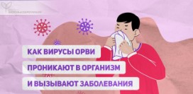 Как вирусы ОРВИ проникают в организм и вызывают заболевания?
